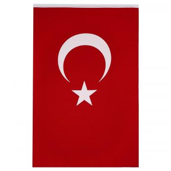 alpaka-turk-ronjan-asindirma-baskili